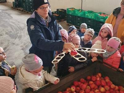 2022/09 Wycieczka do SADU JABŁKOWEGO w Głuchowie cz.2