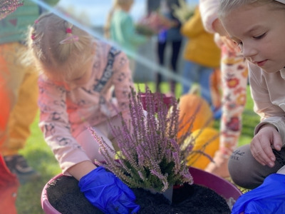 2022/10 Przedszkolne wrzosowisko