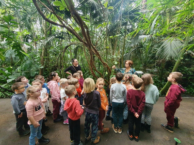 2023/02 Wycieczka do Palmiarni w Poznaniu cz.2