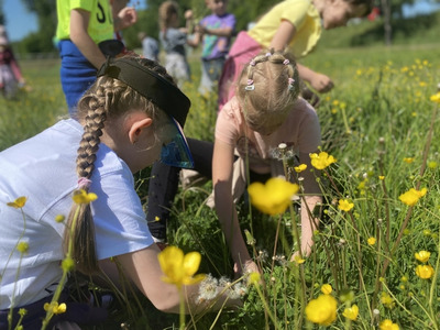 2024/06 Projekt - zielnik