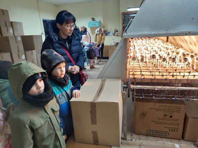 2024/12 Mikołajki - wycieczka do fabryki bombek